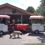 60699482_2487272841297133_4333661042916720640_n